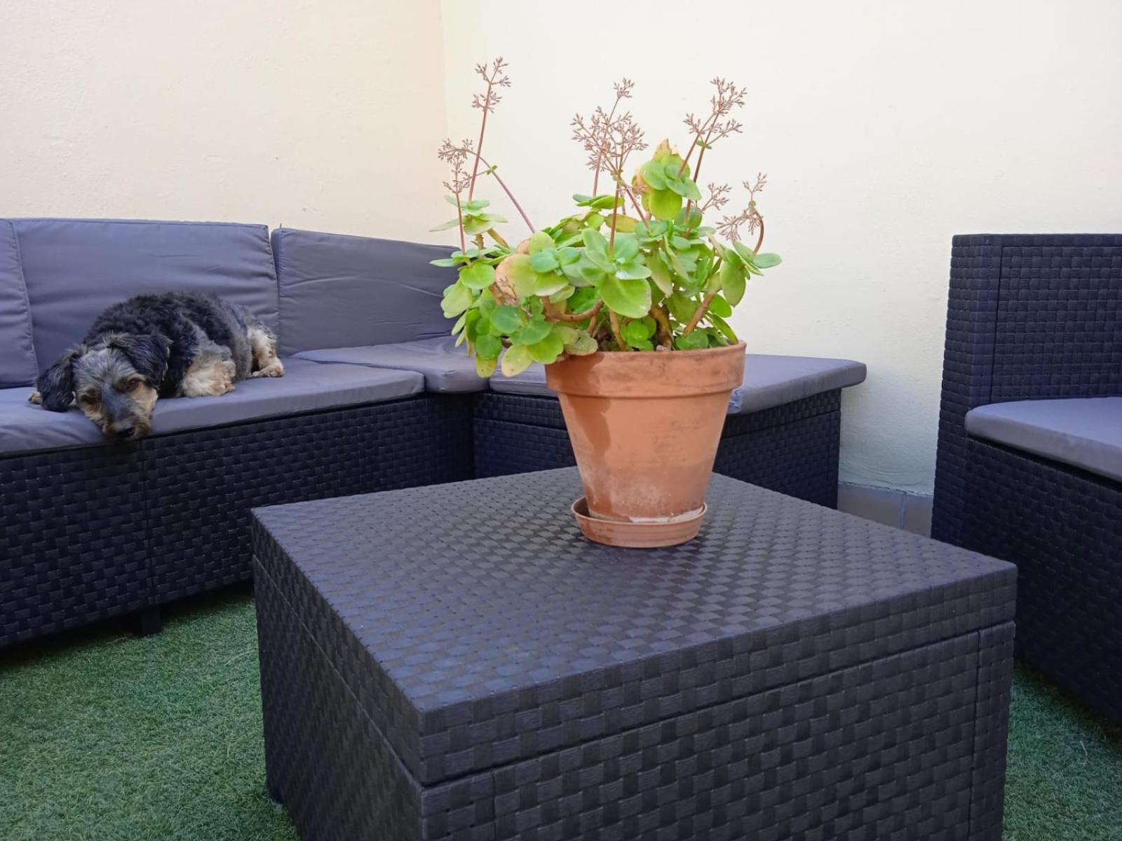 Livingtarifa Apartamento Nano Zewnętrze zdjęcie